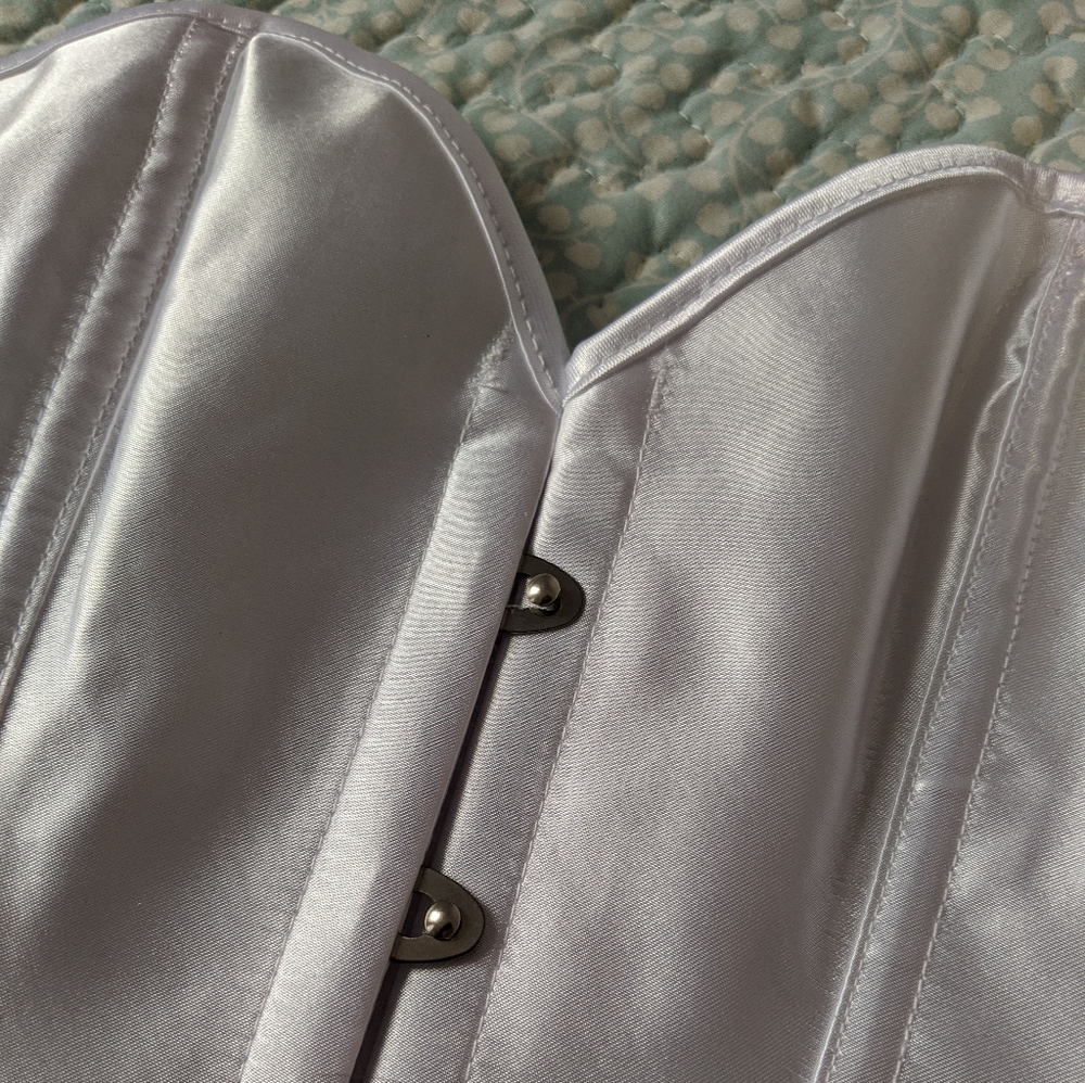 Busk Closure Corset With Matching G-String Nwot - image 4